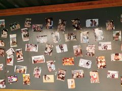 -柴犬高等学院·狗咖·柴犬售卖·宠物训练