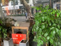 -椿不老