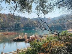 -潜山国家森林公园