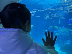 -常州海昌海洋探索馆