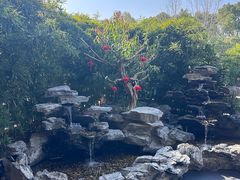 -观宴·品质赣菜(高新大道店)