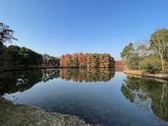 -上海海湾国家森林公园