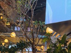 -桂满陇·海市蜃楼·黑金(国金店)