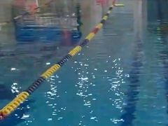 -飞鲨游泳培训学校
