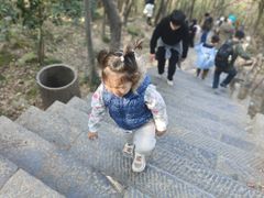-紫金山山顶公园