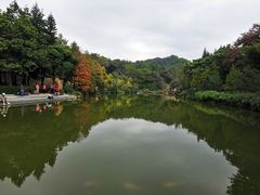 -云溪植物园