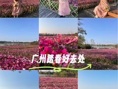 -海珠湖公园