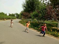 -永定河休闲森林公园