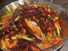 -红盔甲·小龙虾(人民广场店)