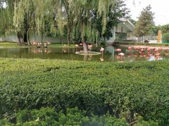 -石家庄市动物园