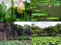 -广州莲花山旅游区