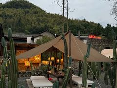 -MOJ coffee(瓯海泽雅水碓坑店)