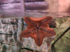 -沈阳海洋探索中心