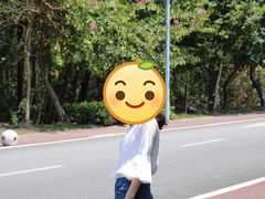 -大亚湾红树林城市湿地公园