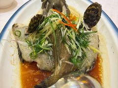 清蒸龙胆鱼-北海渔村酒楼·粤菜海鲜点心(新华店)