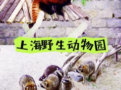 -上海野生动物园