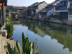 -西塘人家•黑金冠本地好店