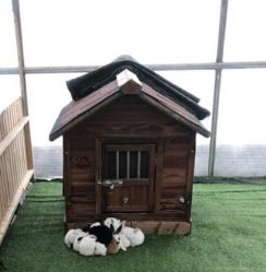 -萌宠亲子动物乐园(槐房万达店)