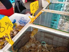 -四道口水产市场