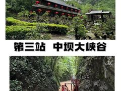 -后柳水乡