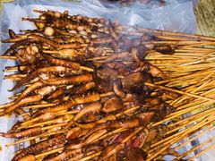 -十里铺铁板鱿鱼