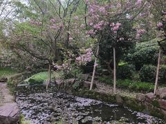 -杭州黄龙洞