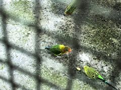 -水绘园