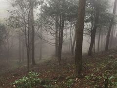 -四明山国家森林公园