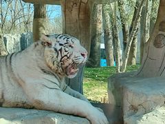 -北京野生动物园