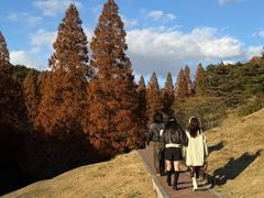 -神户市立六甲山牧场