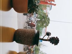 -沪上阿姨·精选茶饮(燕郊富地广场店)