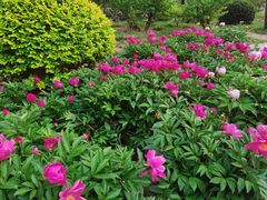 -元大都城垣遗址公园