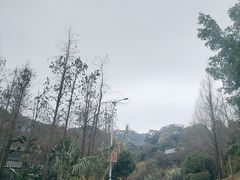 -福道