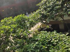 -东江渔村·古典园林·30年粤菜老字号(太和店)