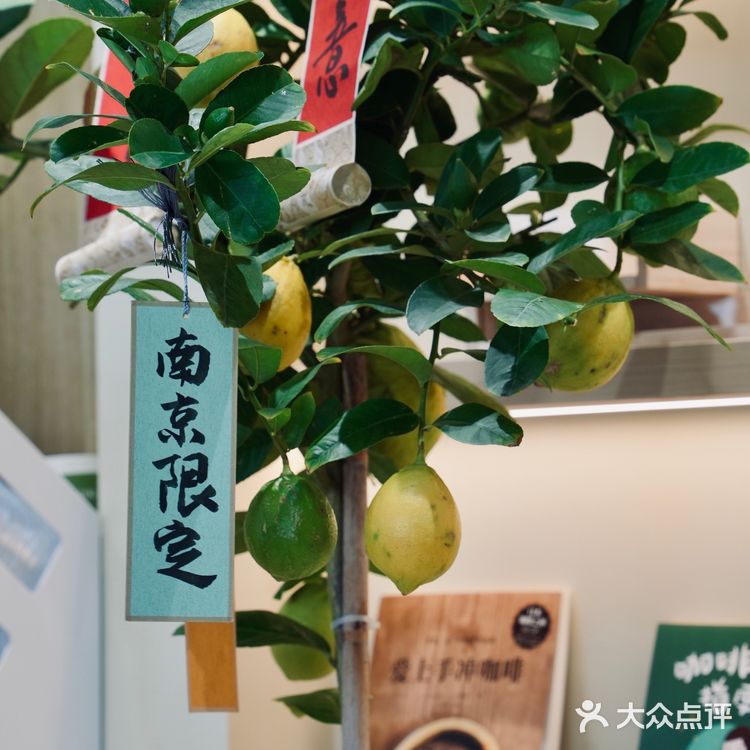酒香不怕巷子深，藏在独栋里的combo好味美！