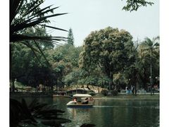 -晓港公园