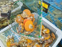 -红月湾海鲜饭店•沙滩海景(双月湾店)