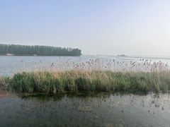 -微山湖红荷湿地景区