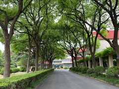 -上海财经大学(国定路校区)