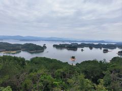 -浔味·山屿湖·正宗淳牌全鱼宴老字号