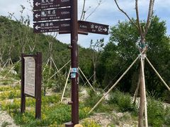 -北京西山国家森林公园