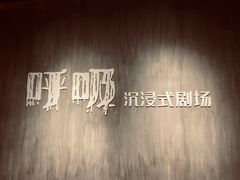 -呼吸沉浸式剧场(甘露园店)