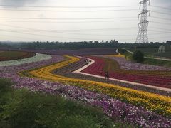 -紫颐香薰山谷景区