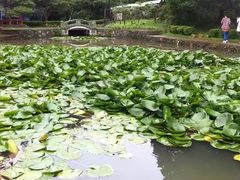 -庐山风景区花径公园