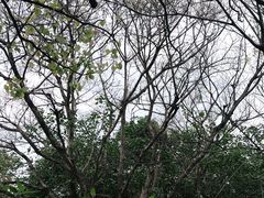 -深圳野生动物园
