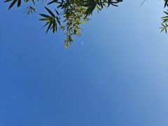 -华东政法大学(松江校区)