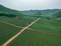 -宜兴龙背山森林公园