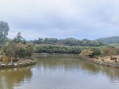 -大屏嶂森林公园