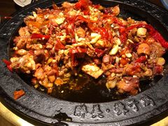-天山醉美辣子鸡(文艺路店)