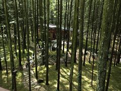 -山王坪喀斯特国家生态公园